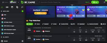 Discover the World of Online Gaming with BCGameBet Ng