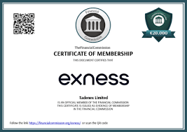 Comprehensive Guide to Bitcoin Trading in Exness 17